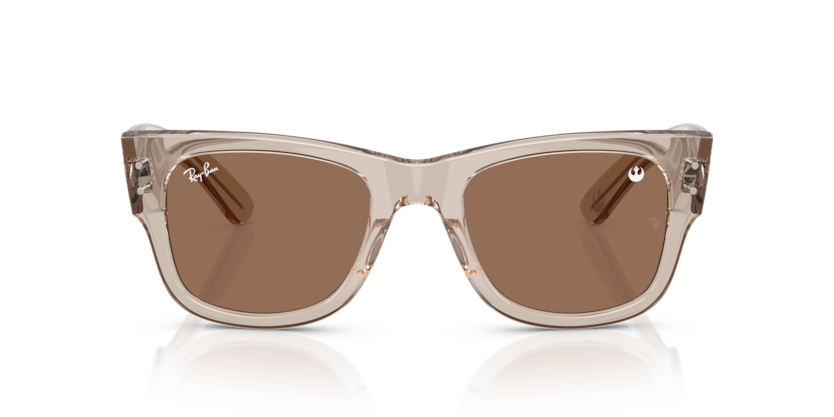 Ray-Ban Sunglasses 0RB0840SF 68701A52 - Transparent light brown
