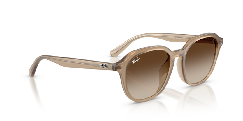 Ray-Ban Sunglasses 0RB4459D 61661354 - Turtledove