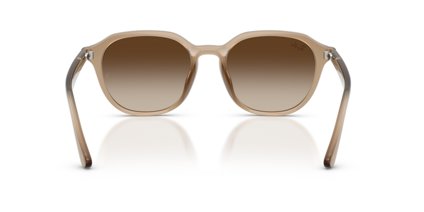 Ray-Ban Sunglasses 0RB4459D 61661354 - Turtledove