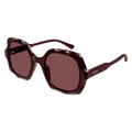 Women's Chloé CH0226S-002 53 Sunglass VIOLET