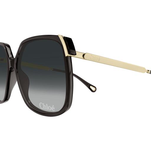 Women's Chloé CH0286S-001 60 Sunglass WOMAN RECYCLED A