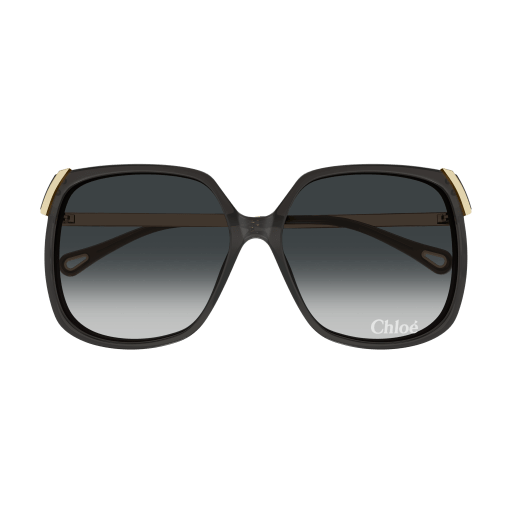 Women's Chloé CH0286S-001 60 Sunglass WOMAN RECYCLED A