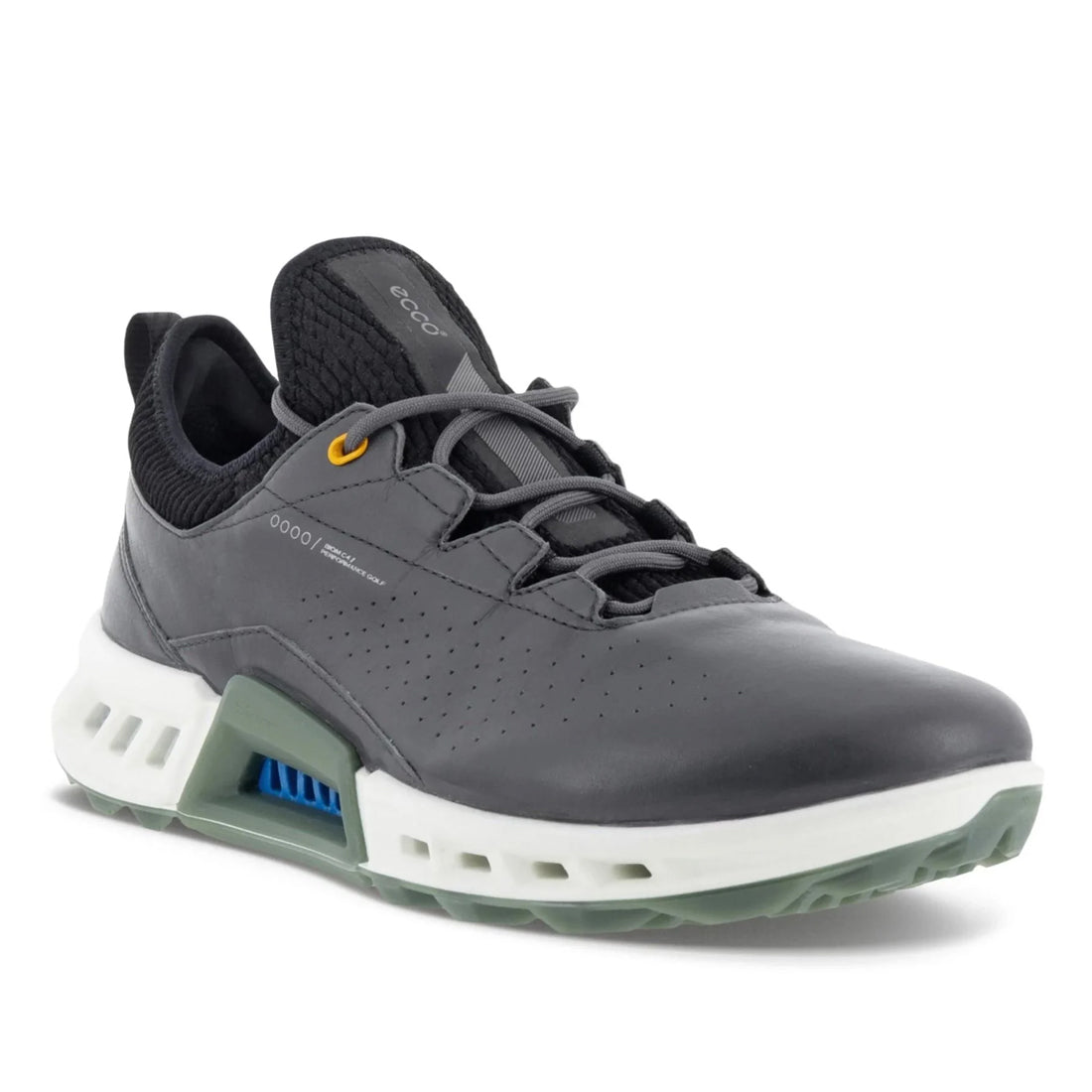 Ecco Men's Golf Biom C4 Shoe Magnet