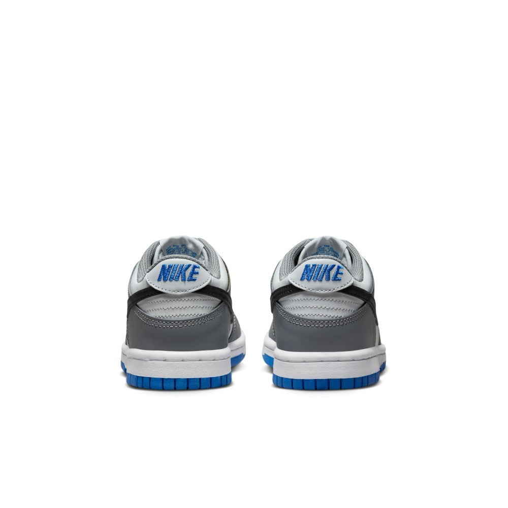 Dunk GS Lifestyle Shoes