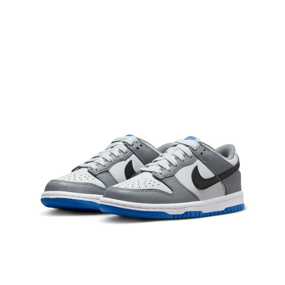 Dunk GS Lifestyle Shoes