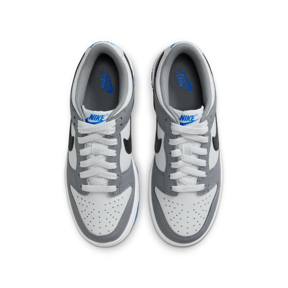 Dunk GS Lifestyle Shoes