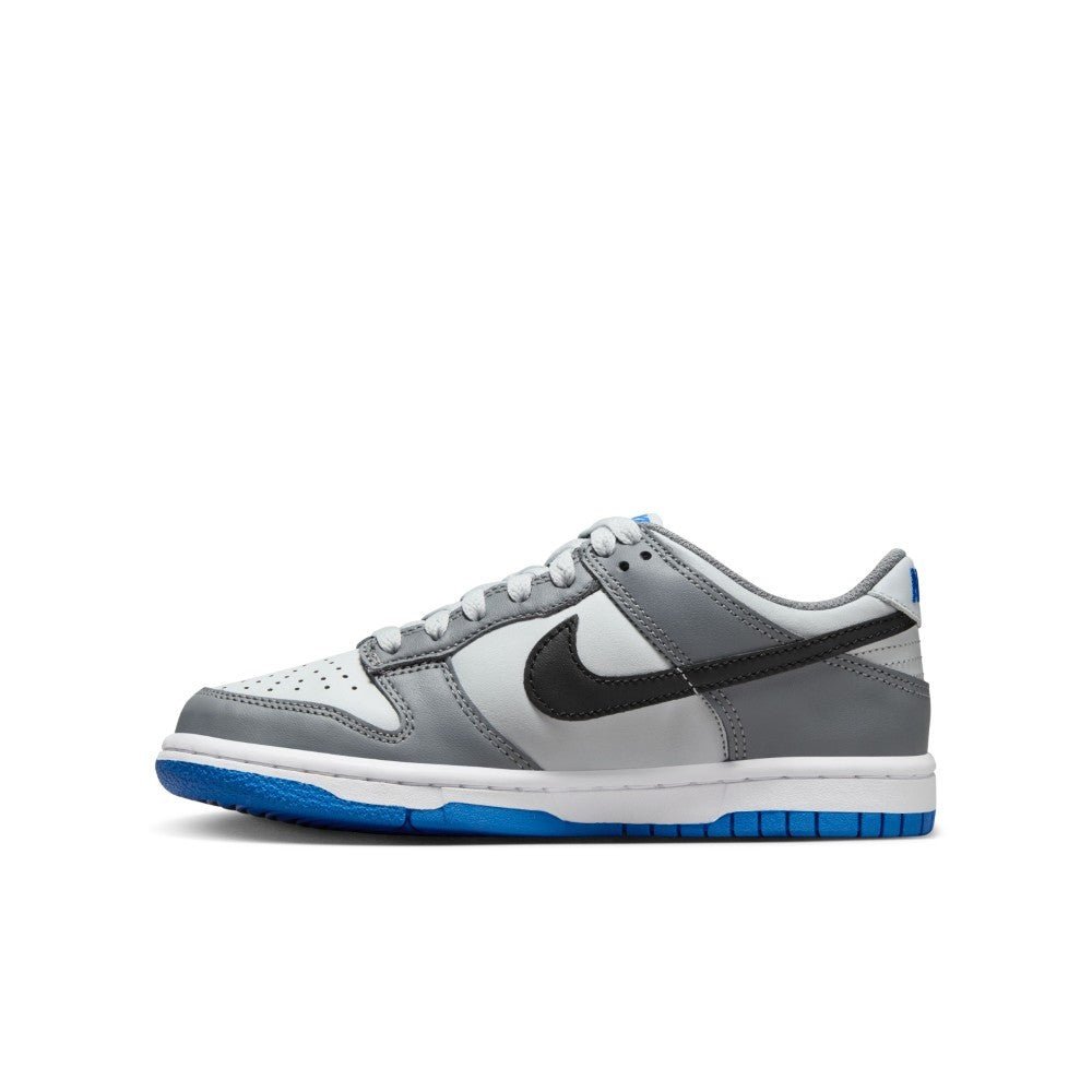 Dunk GS Lifestyle Shoes