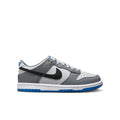 Dunk GS Lifestyle Shoes