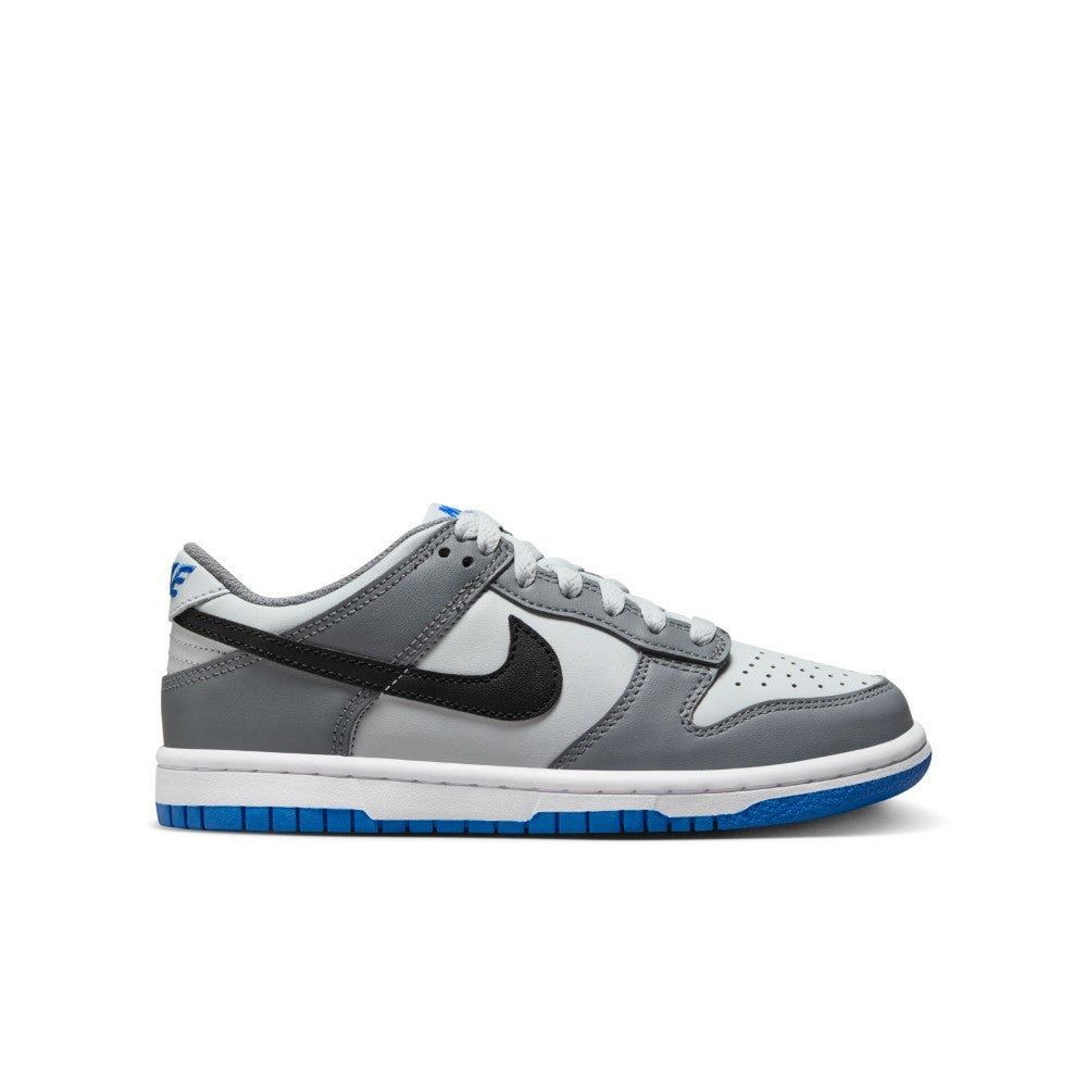 Dunk GS Lifestyle Shoes