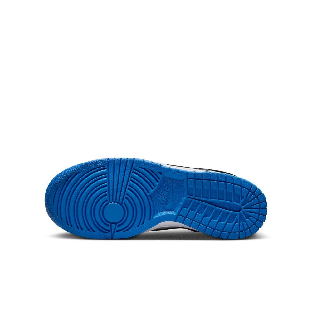 Dunk GS Lifestyle Shoes