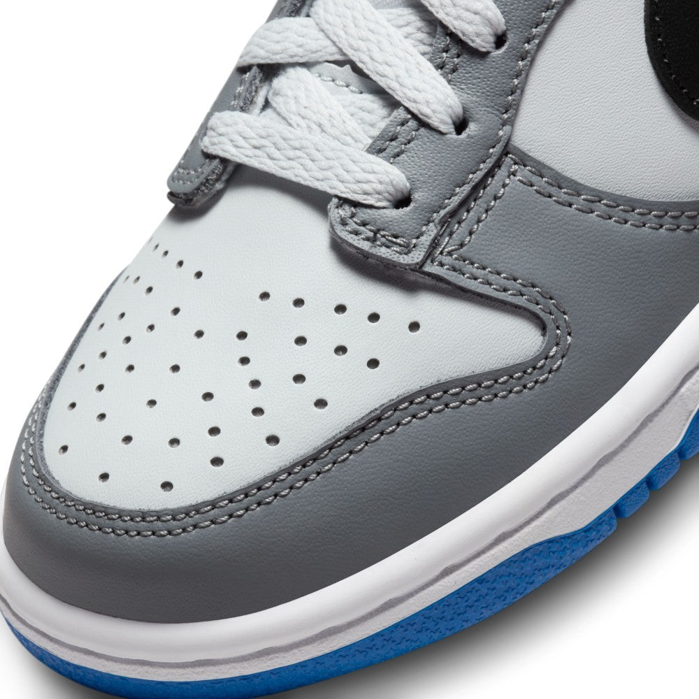Dunk GS Lifestyle Shoes