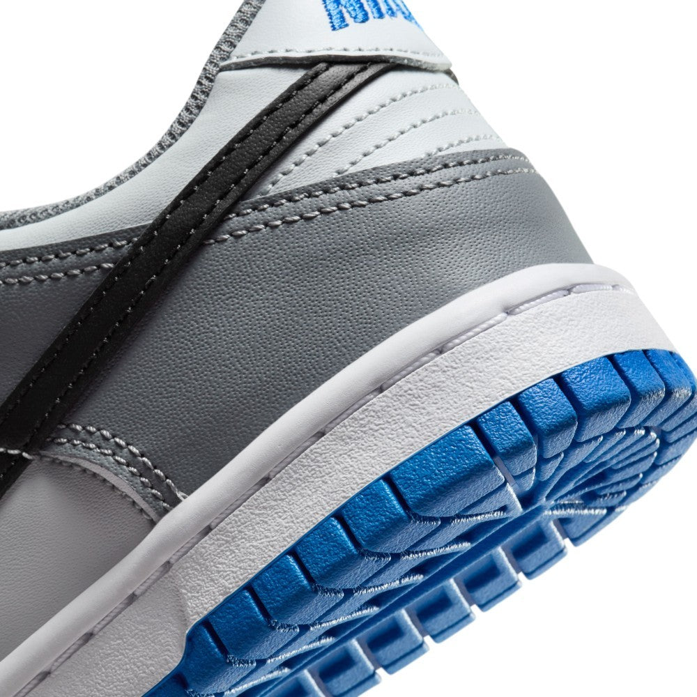 Dunk GS Lifestyle Shoes