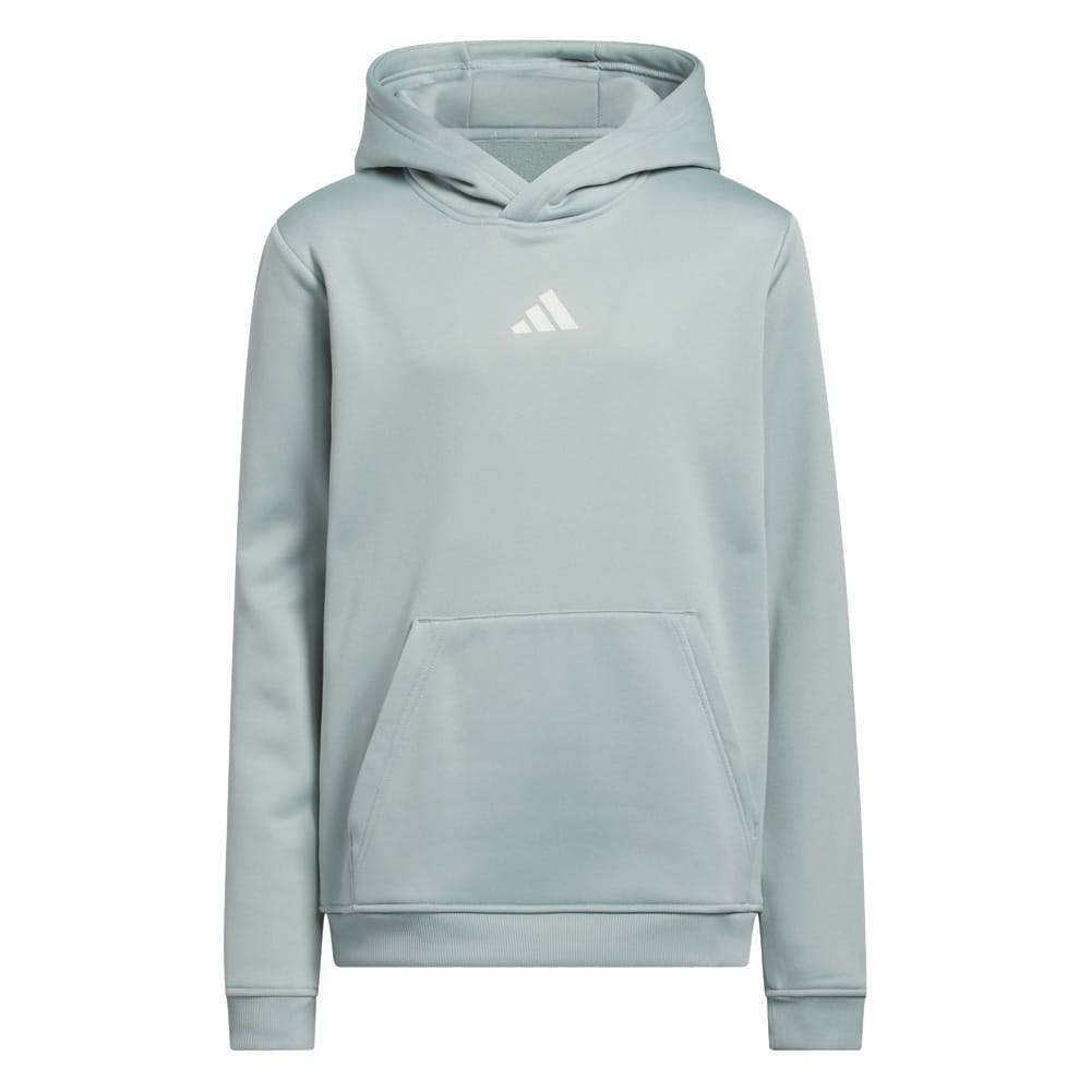 adidas Unisex Juniors Climawarm Graphic Hoodie - Wonder Sage