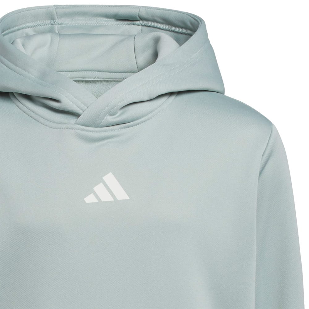 adidas Unisex Juniors Climawarm Graphic Hoodie - Wonder Sage