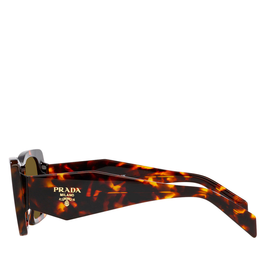 Prada Acetate Woman Sunglass Honey Tortoise