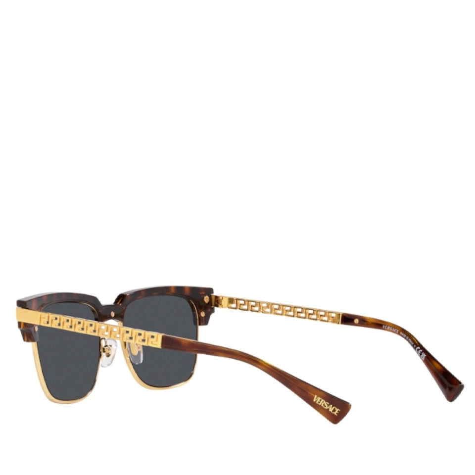 Versace Injected Man Sunglass Havana