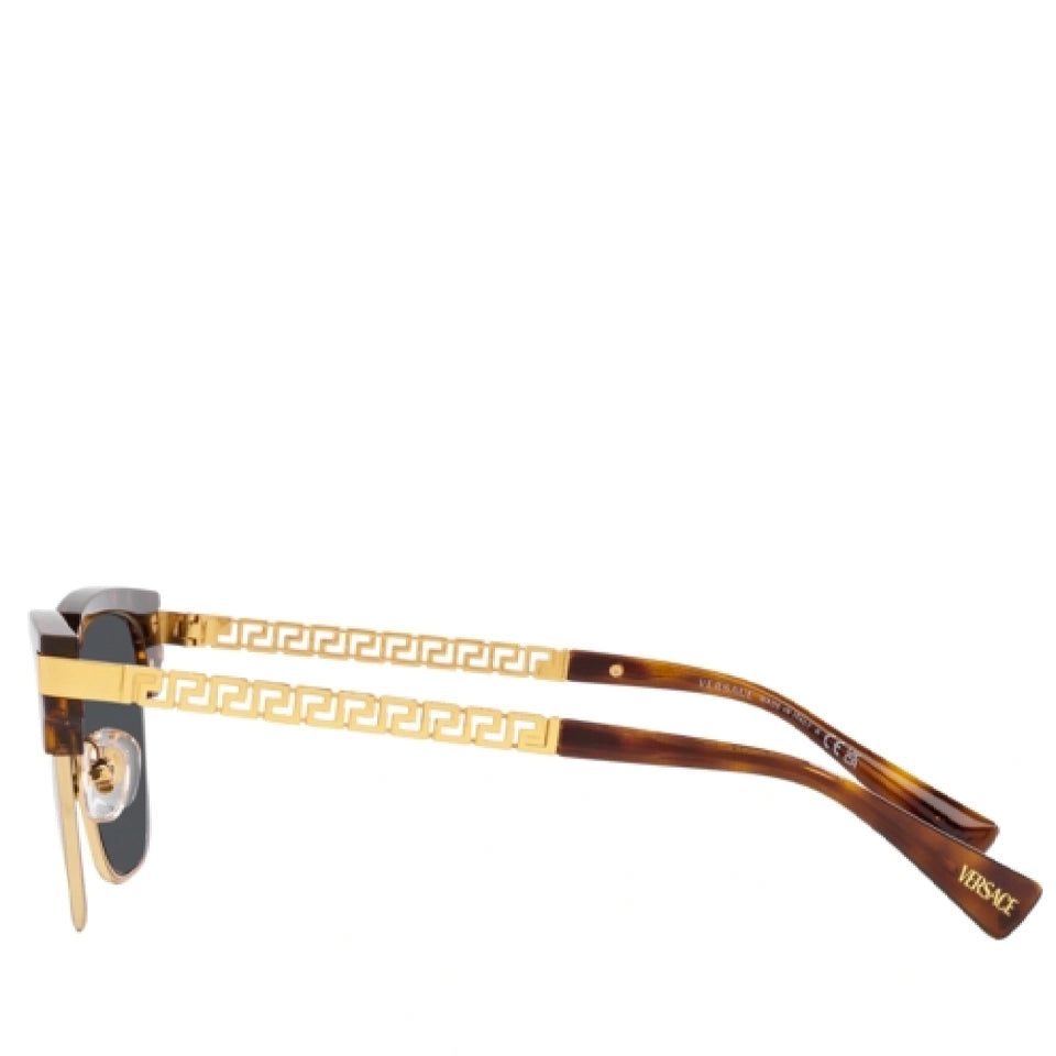 Versace Injected Man Sunglass Havana