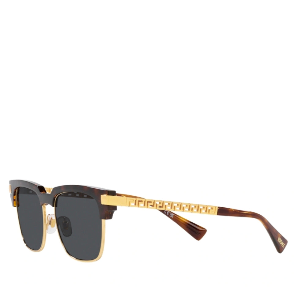 Versace Injected Man Sunglass Havana