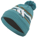 adidas Pom Beanie - Arctic Fusion
